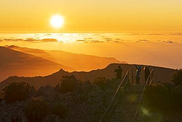 Tourists photographing sunset with smartphone from Pico Ruivo mountain peak, Madeira, Portugal, Atlantic, Europe