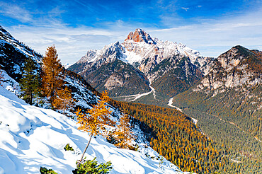 Croda Rossa d'Ampezzo mountain surrounded by larch tree forest in autumn, Dolomites, Belluno province, Veneto, Italy, Europe