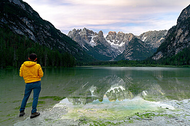 Rear view of hiker man admiring Monte Cristallo reflected in lake Landro (Durrensee) at sunrise, Dolomites, South Tyrol, Italy, Europe