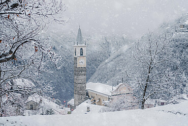 Winter snowfall over trees and old bell tower at Christmas, Sacco, Val Gerola, Valtellina, Sondrio province, Lombardy, Italy, Europe