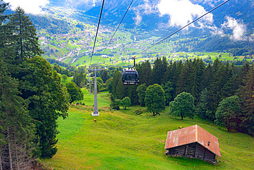 Cable car uphill among green alpine meadows and forest, Grindelwald, Mannlichen, Jungfrau Region, Bern Canton, Swiss Alps, Switzerland, Europe