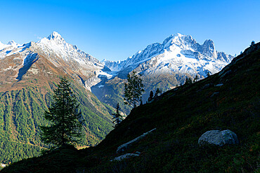 Majestic peaks Aiguille du Chardonnet, Aiguille Verte and Argentiere Glacier, Mont Blanc Massif, Chamonix, Haute Savoie, French Alps, France, Europe