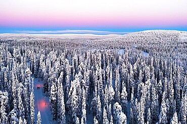 Aerial view of two hikers walking in the snowcapped forest at dawn, Iso-Syote, Lapland, Finland, Europe