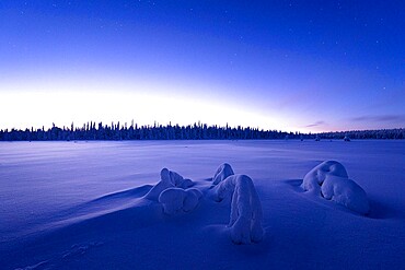 Arctic dusk lights over the frozen land covered with snow in winter, Lapland, Finland, Europe