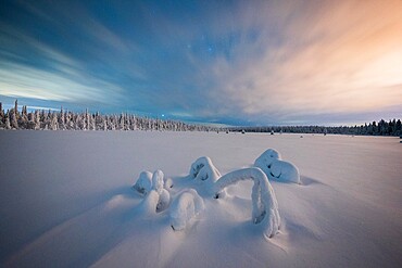 Dramatic night sky over the snowcapped forest and frozen trees, Iso Syote, Lapland, Finland, Europe