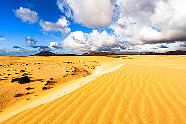 Sand dunes of desert lit by the bright sun, Corralejo Natural Park, Fuerteventura, Canary Islands, Spain, Atlantic, Europe