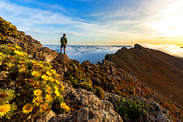 Man watching the mist at sunrise standing on rocks on Pico de la Zarza mountain peak, Fuerteventura, Canary Islands, Spain, Atlantic, Europe