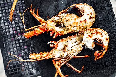 Grilled lobsters on barbecue, Antigua, Leeward Islands, Caribbean, West Indies