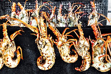 Overhead view of lobsters cooking on a barbecue grill, Antigua, Leeward Islands, Caribbean, West Indies