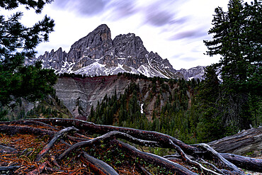 Sass De Putia peak under a cloudy sky, view from wild woods at Passo Delle Erbe (Wurzjoch), Dolomites, South Tyrol, Italy, Europe