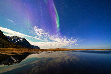 Multicolored Northern Lights (Aurora Borealis) sky reflected in the cold sea, Eggum, Vestvagoy, Nordland county, Lofoten Islands, Norway, Scandinavia, Europe