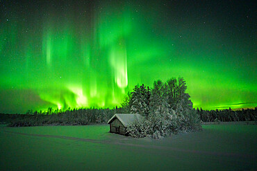 Frozen mountain hut in the arctic snowy forest lit by green lights of Aurora Borealis, Tornio, Lulea, Lapland, Sweden