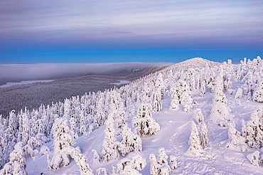 Aerial view of ice sculptures, Oulanka National Park, Ruka Kuusamo, Lapland, Finland