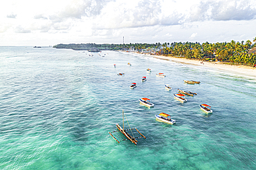 Aerial view of traditional dhow boats in the crystal sea, Pingwe, Michamvi, Zanzibar, Tanzania, East Africa, Africa