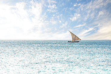 Traditional African dhow sailing in the calm waters of the Indian Ocean, Zanzibar, Tanzania, East Africa, Africa