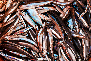 Fish market, Mkokotoni, Zanzibar, Tanzania, East Africa, Africa