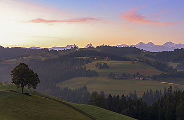 Green rolling hills and forest in the autumn mist at dawn, Sumiswald, Emmental, canton of Bern, Switzerland, Europe