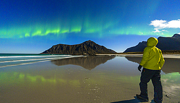 Lone hiker admiring mountains and cold arctic sea under the Aurora Borealis (Northern Lights), Skagsanden beach, Ramberg, Lofoten Islands, Nordland, Norway, Scandinavia, Europe