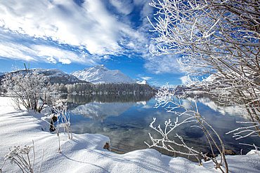 Clouds over snowy woods on shores of frozen Lake Sils in winter, Engadine, Canton of Graubunden, Switzerland, Europe