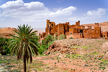 Ancient kasbah surrounded by palm trees, Ounila Valley, Atlas mountains, Ouarzazate province, Morocco, North Africa, Africa