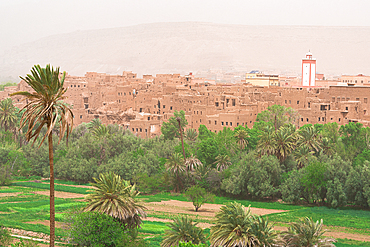 Old mosque in a kasbah framed by palm tree groves, Dades, Atlas mountains, Ouarzazate province, Morocco, North Africa, Africa