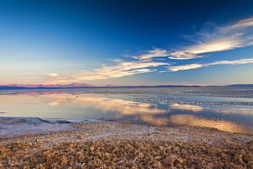 Pink clouds reflecting in a pool by the Chaxa Lagoon in the Atacama Desert, Chile, South America