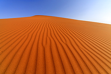 The shapes of sand constantly shaped by the wind, Deadvlei, Sossusvlei, Namib Desert, Namib Naukluft National Park, Namibia, Africa