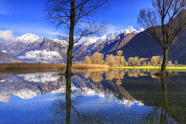 The natural reserve of Pian di Spagna flooded with snowy peaks reflected in the water, Valtellina, Lombardy, Italy, Europe