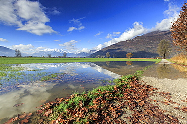 The natural reserve of Pian di Spagna flooded with snowy peaks reflected in the water, Valtellina, Lombardy, Italy, Europe