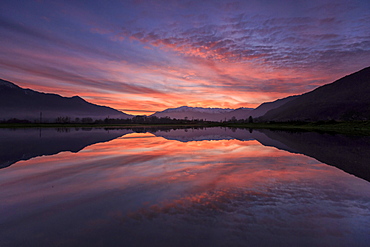 Natural reserve of Pian di Spagna flooded with snowy peaks reflected in the water at sunset, Valtellina, Lombardy, Italy, Europe