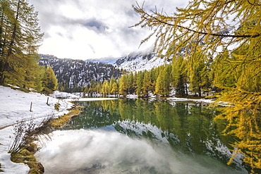 Colorful trees and snowy woods reflected in Lai da Palpuogna, Albula Pass, Engadine, Canton of Graubunden, Switzerland, Europe