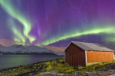 Northern Lights illuminates the wooden cabin at Svensby, Lyngen Alps, Troms, Lapland, Norway, Scandinavia, Europe