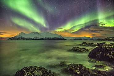 Northern Lights on the icy sea of Svensby, Lyngen Alps, Troms, Lapland, Norway, Scandinavia, Europe