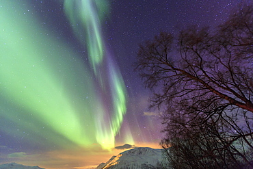 Northern Lights on the icy landscape of Svensby, Lyngen Alps, Troms, Lapland, Norway, Scandinavia, Europe