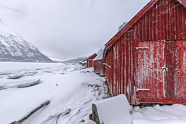 Typical wooden huts in the snowy landscape of Lyngseidet, Lyngen Alps, Tromso? Lapland, Norway, Scandinavia, Europe