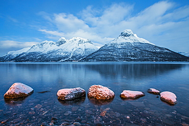 Blue sky at dusk and snowy peaks are reflected in the frozen sea, Storfjorden, Lapland, Lyngen Alps, Troms, Norway, 
Scandinavia, Europe