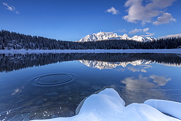 Woods and snowy peaks are reflected in the clear water of Lake Palu, Malenco Valley, Valtellina, Lombardy, Italy, Europe