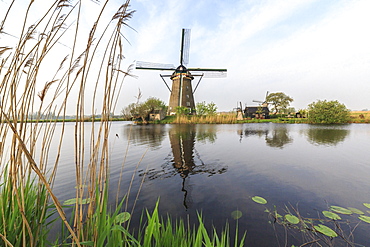 Green grass frames the windmills reflected in the canal, Kinderdijk, Rotterdam, South Holland, Netherlands, Europe