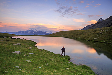 Hiker on the shore admires the pink colors of dawn reflected in Lake Campagneda, Malenco Valley, Valtellina, Lombardy, Italy, Europe