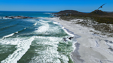 Aerial of a white sandy beach, West Coast National Park, Western Cape Province, South Africa, Africa