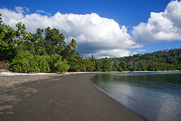 Pretty black sand volcanic beach, Epi Island, Shepherd Islands, Vanuatu, Pacific