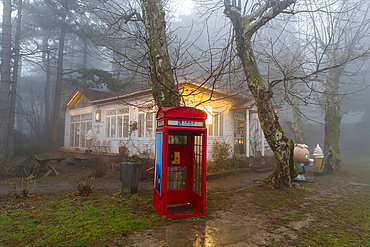 Fog, Mount Lu (Lushan), UNESCO World Heritage Site, Jiujiang, Jiangxi, China, Asia