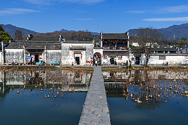 Pond around Hongcun historical village, UNESCO World Heritage Site, Huangshan, Anhui, China, Asia