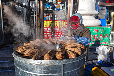 Street vendor in Heihe, Heilongjiang, China, Asia