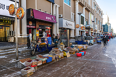 Street vendor in Heihe, Heilongjiang, China, Asia