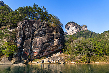 Trees on a granite rock, Wuyi Mountains, UNESCO World Heritage Site, Fujian, China, Asia