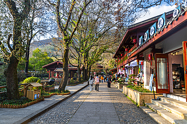 Tourist village in the Wuyi Mountains, UNESCO World Heritage Site, Fujian, China, Asia