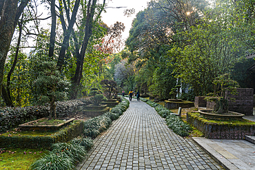 Little park, Wuyi Mountains, UNESCO World Heritage Site, Fujian, China, Asia