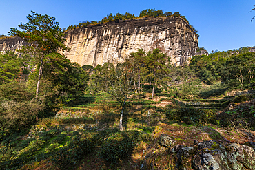 Wuyi Mountains, UNESCO World Heritage Site, Fujian, China, Asia