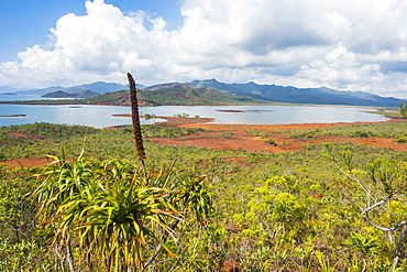 Overlook over the Blue River Provincial Park, Yate, New Caledonia, Pacific